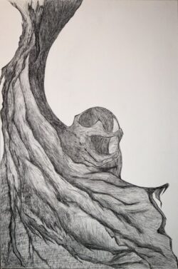 by Alex Carreon